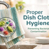 Diagram showing bacterial contamination cycle in kitchen dish cloths for dish cloth hygiene guide