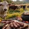 Diagram showing stages of steer development for South African cuisine beef production