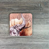 Coasters - African Wildlife (Set of 4) - Something From Home - South African Shop