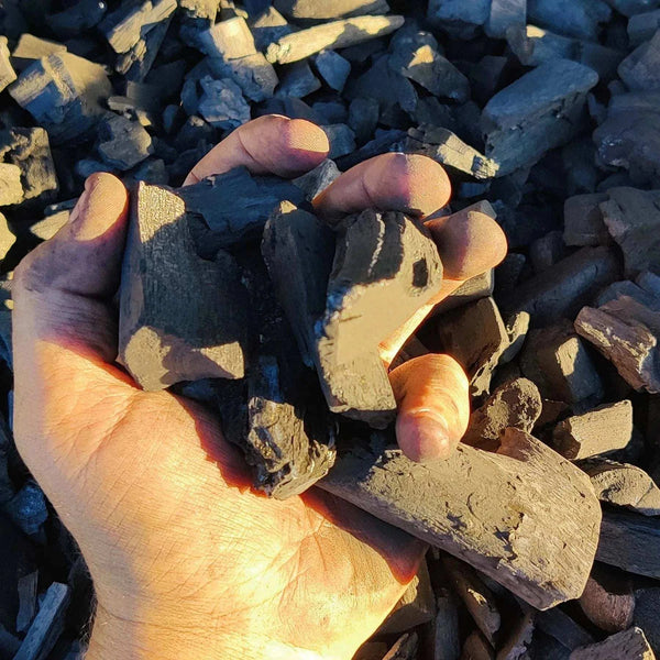 Hand holding black granite charcoal lump wood pieces for grilling and BBQ use