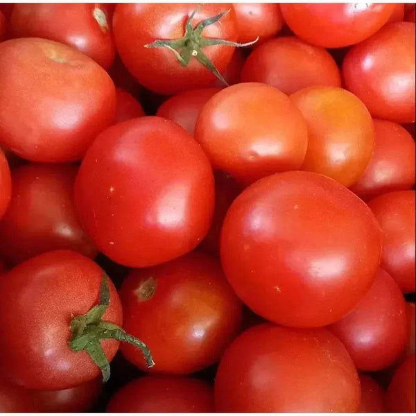 Ina Lessing Tomato Jam 500g jar with fresh tomato and spices for versatile culinary use