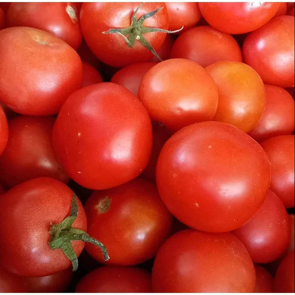 Handcrafted Ina Lessing Tomato Jam - 500g jar with vibrant fresh tomatoes, sugar, and spices for a unique flavor experience.