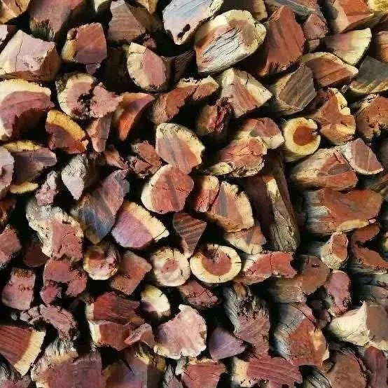 Camel Thorn firewood pieces for efficient home heating and outdoor cooking.