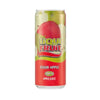 Liqui Fruit Clear apple juice blend can 300ml with real apple juice and zero calories