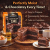 Ina Paarman's 650g Chocolate Cake Mix packaging with rich chocolate flavor, South African origin