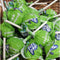 Beacon FIZZ POP APPLE - Tub of 40 lollipops - Something From Home - South African Shop