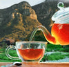 Freshpak Rooibos Infused Tea 80's