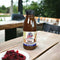 SPUR Basting Grill Sauce 500ml - Something From Home - South African Shop