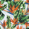 White Tablecloth with Watercolour Strelitzia - Something From Home - South African Shop